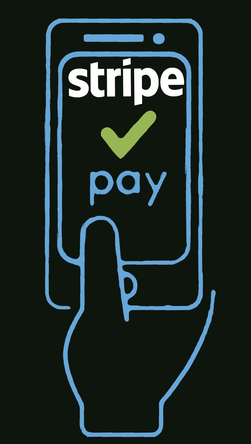 Stripe payment illustration