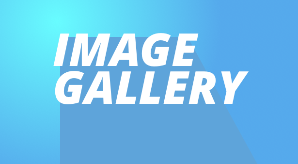 imageGallery