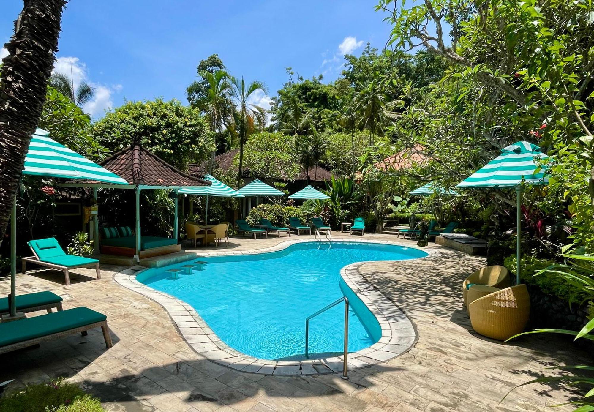The swimming pool and tropical gardens at DW Jungle Resort